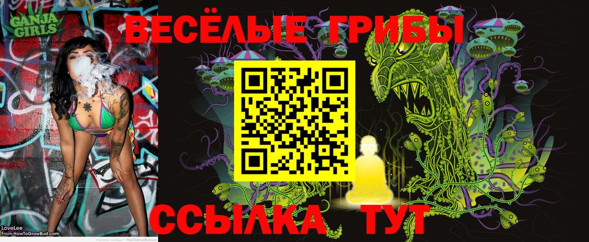Псилоцибиновые грибы Psilocybe Фурманов