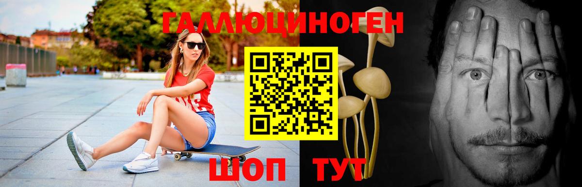 Галлюциногенные грибы Magic Shrooms  Галлюциногенные грибы GOLDEN TEACHER  Фурманов  Вход с VPN 